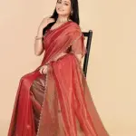Organza Saree