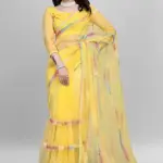 Net saree