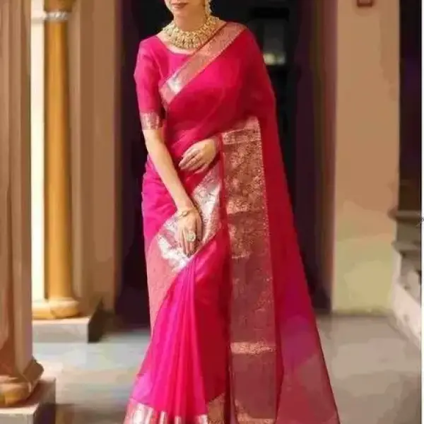 Organza Saree