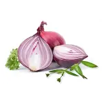 Mylo Care Onion Hair Fall Control Shampoo