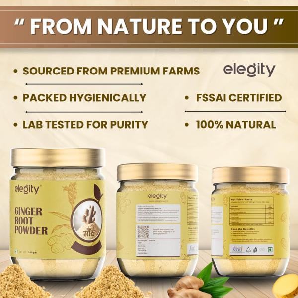 Elegity Ginger Root Powder 200 gm (Pack of 1) | No Added Preservatives