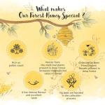 The Honey Shop Raw Organic Forest Honey, Wild, Unprocessed, Unheated