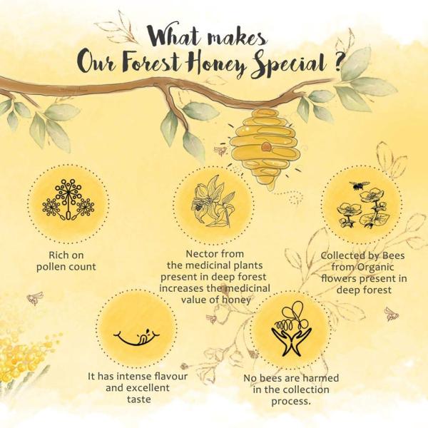 The Honey Shop Raw Organic Forest Honey, Wild, Unprocessed, Unheated