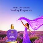 GROCERY Softouch Yardley Imperial Lavender 800+210 ml Fabric Conditioner | Long lasting fragrance for clothes
