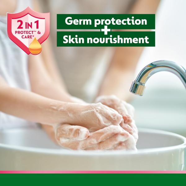 GROCERY   Dettol Liquid Handwash Dispenser Bottle Pump - Skincare Moisturizing Hand Wash (Pack of 3 - 200 ml each) | pH Balanced | 10x Better Germ Protection