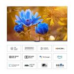 Panasonic 139cm (55 Inches) 4K Ultra HD Smart Google LED TV TH-55MX750DX (Black)