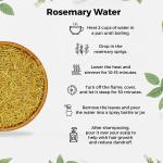 CARMEL ORGANICS Rosemary Leaves (100 Gram) With Spray Bottle