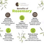 CARMEL ORGANICS Rosemary Leaves (100 Gram) With Spray Bottle