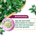 Himalaya Anti-Hair Fall Bhringaraja Shampoo, Reduces Hair Fall, Makes Hair Healthy, With Bhringaraja & Palasha,for men and women, 650ml
