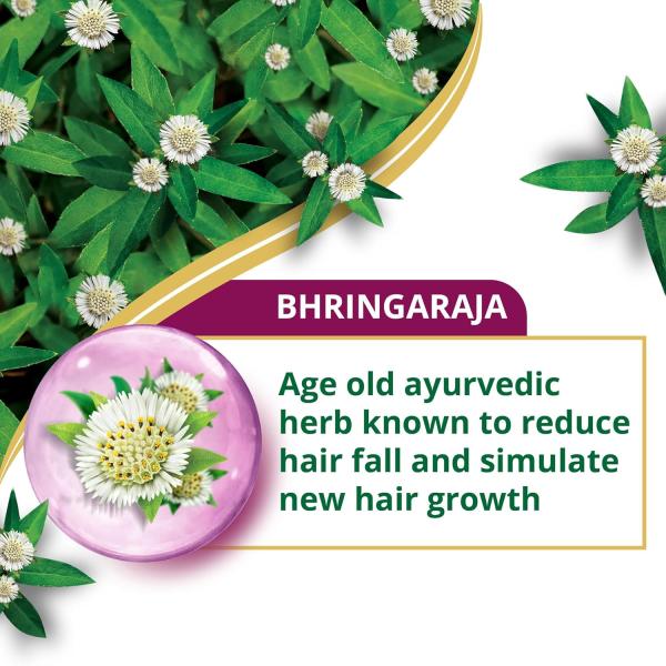 Himalaya Anti-Hair Fall Bhringaraja Shampoo, Reduces Hair Fall, Makes Hair Healthy, With Bhringaraja & Palasha,for men and women, 650ml