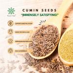 Pure Tree Certified Organic Jeera Seeds | 250 g | Cumin Seeds | Sabut Jeera Whole Spices