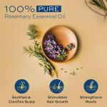 Parachute Advansed Rosemary Essential Oil | 100% Pure | for Thick & Voluminous Hair |