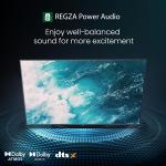 TOSHIBA 139 cm (55 inches) C350NP Series 4K Ultra HD Smart LED Google TV 55C350NP (Black)