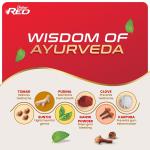 Dabur Red Paste - India's No.1 Ayurvedic Paste, Provides Protection Plaque Removal, Toothache, Yellow Teeth, Bad Breath- 800g (200gm*4)