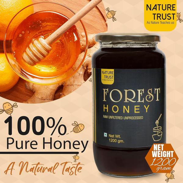 Nature Trust Raw Forest Honey,1200 Gram, Wild, Unprocessed, Unheated