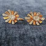 A Unique Dimond Earrings