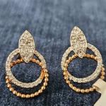 A Unique Dimond Earrings