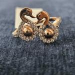 A Unique Dimond Earrings