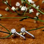 A Unique Dimond Earrings