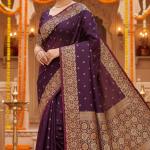 women Takshashila Paithani Style Saree